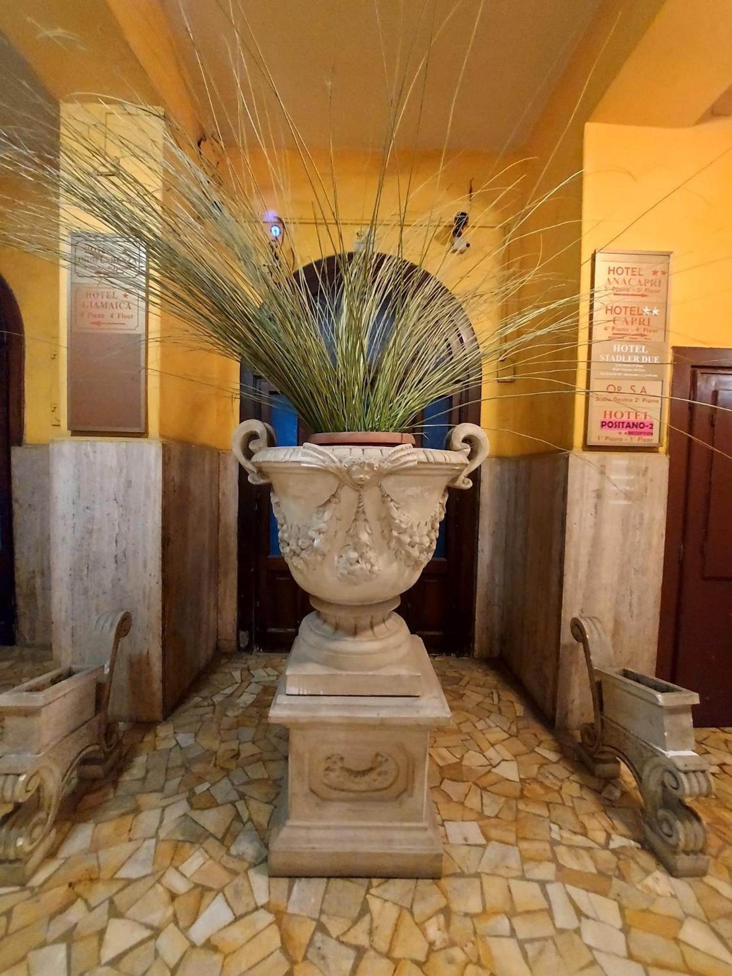 Positano 2 Mimosa * Rome